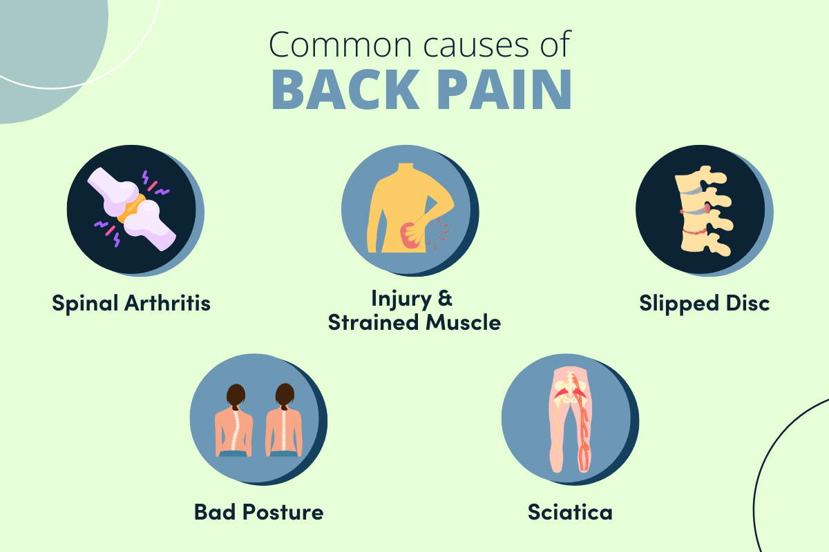 Common causes of back pain infographic