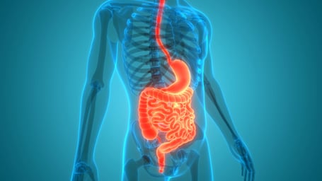 What Helps with Digestion and Why It Matters