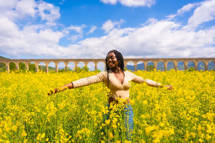 Lady in field of yellow flowers with sun shining