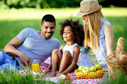 Family picnic 